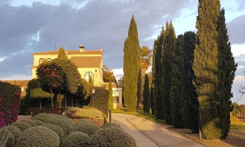 513681473_23958083643811862_1311815026261511842_n