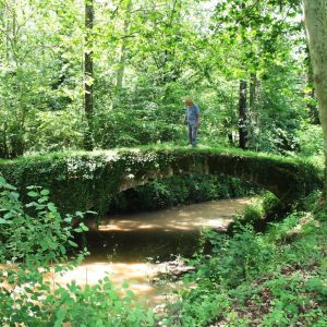 Pont medieval de les Codines