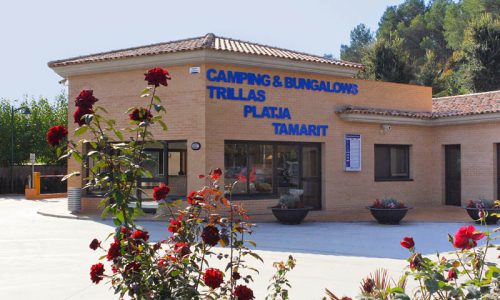 camping-trillas6