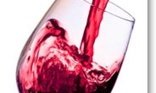 305937180_510517227745131_109715528140203725_n