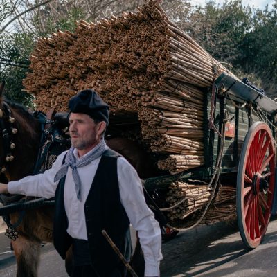 Festes de Sant Antoni Abat i dels Tres Tombs 6