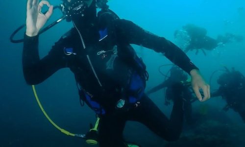 dive-center-blau-mar-mataro-02