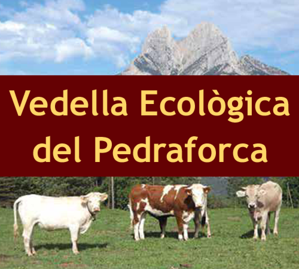 vedella-ecologica-del-pedraforca-01